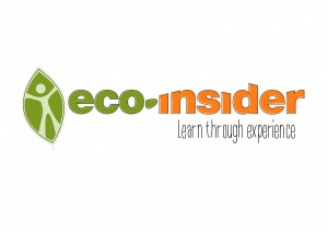 logo ECOINSIDER
